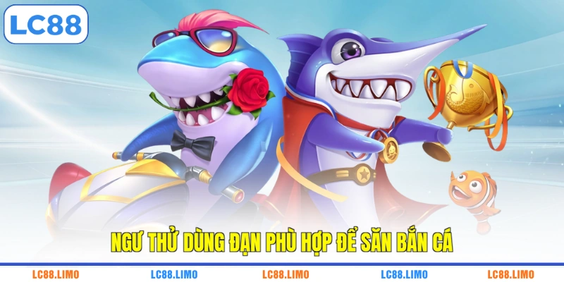 Ngư thử dùng đạn phù hợp để săn bắn cá